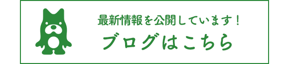 ブログはこちら ブログはこちら